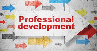 Top Strategies for Professional Development