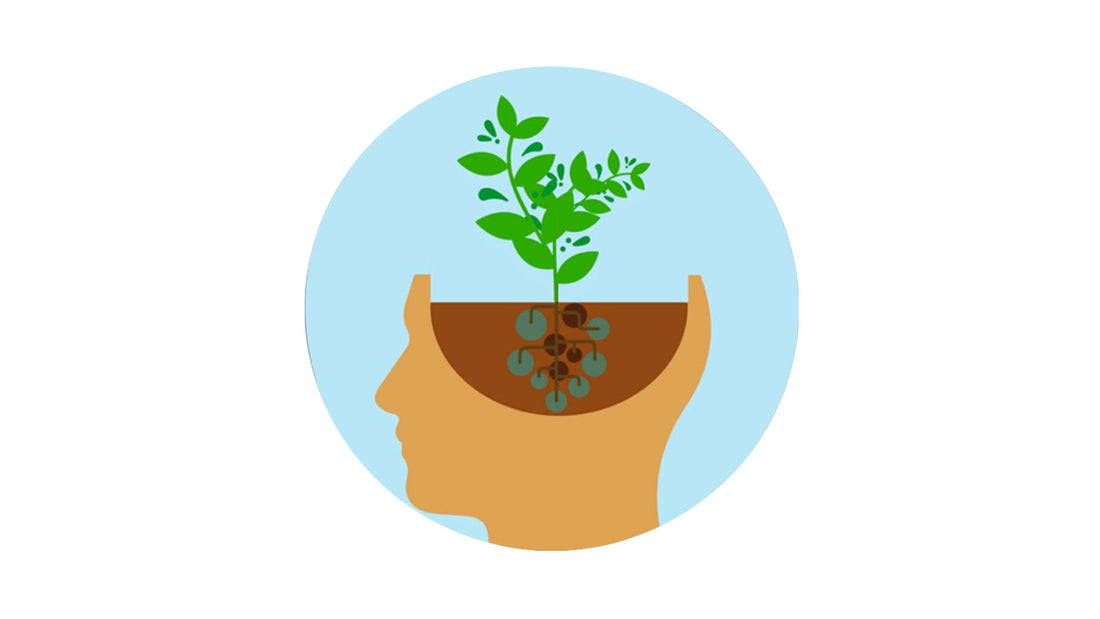 Developing a Growth Mindset in Professional Settings