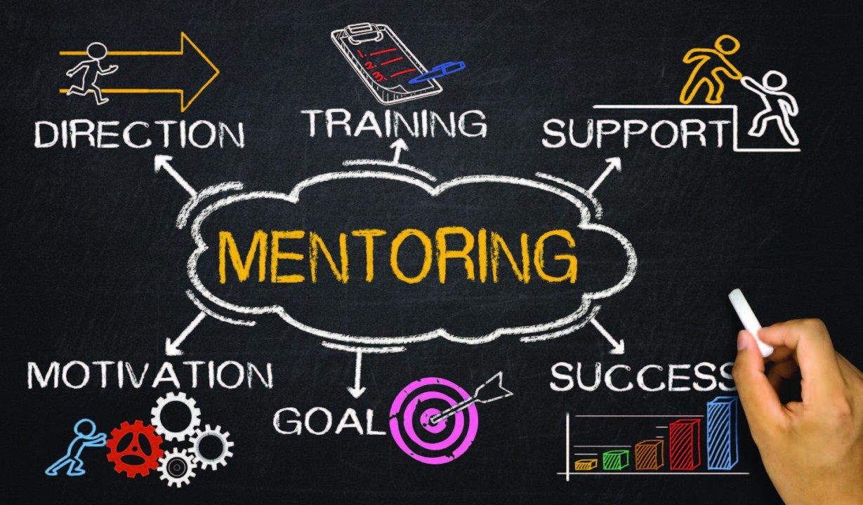 Building Mentorship Programs in Organizations