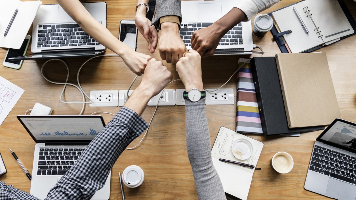 Building Resilient Organizations: Strategies for Navigating Uncertainty