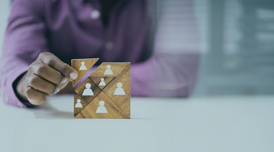 Building Skills for Professional Development