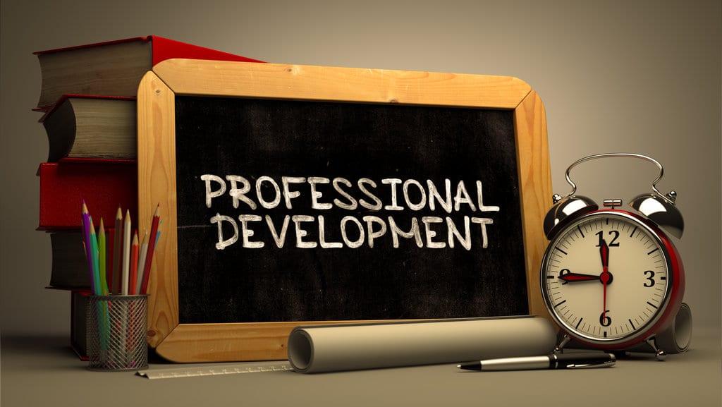 Discovering Professional Development