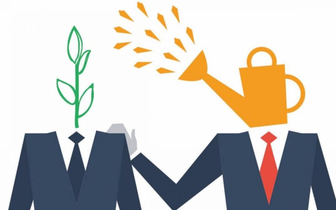 Building Mentorship Programs in Organizations