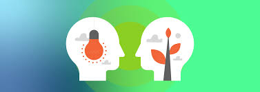 Building Mentorship Programs in Organizations