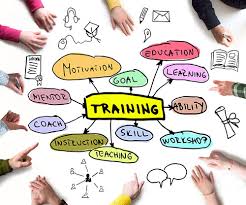 Accelerate Your Career: The Complete Guide to Professional Development in 2025
