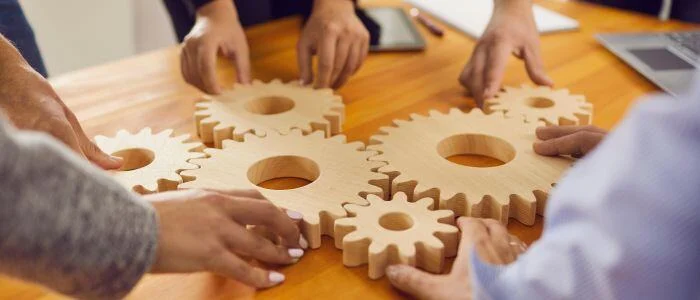 Discovering Leadership and Management